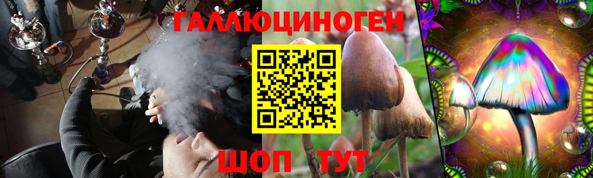 Псилоцибиновые грибы мицелий  Вход с VPN  Псилоцибиновые грибы MAGIC MUSHROOMS  Первоуральск 